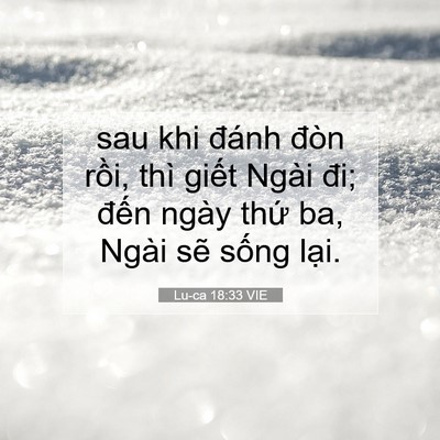 Picture 07 - Lu-ca 18:33 VIE - sau khi đánh đòn rồi, thì giết Ngài - Bible Verse Picture
