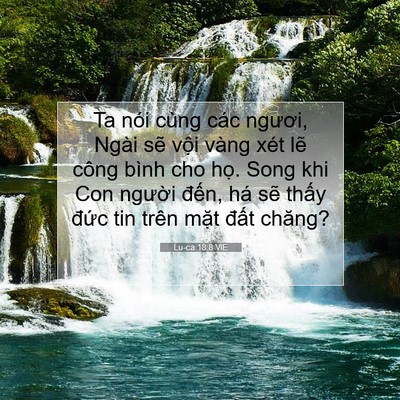 Picture 07 - Lu-ca 18:8 VIE - Ta nói cùng các ngươi, Ngài sẽ vội - Bible Verse Picture