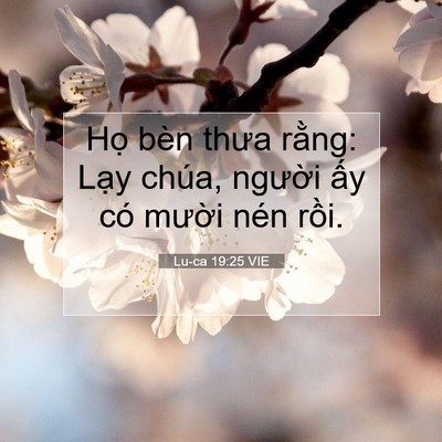 Picture 07 - Lu-ca 19:25 VIE - Họ bèn thưa rằng: Lạy chúa, người - Bible Verse Picture