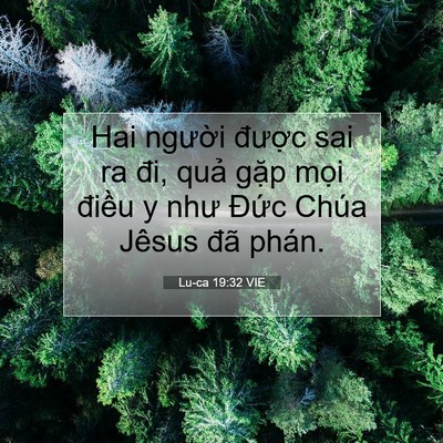 Picture 07 - Lu-ca 19:32 VIE - Hai người được sai ra đi, quả gặp - Bible Verse Picture