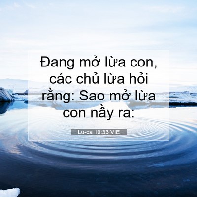 Picture 07 - Lu-ca 19:33 VIE - Đang mở lừa con, các chủ lừa hỏi - Bible Verse Picture