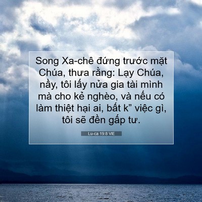 Picture 07 - Lu-ca 19:8 VIE - Song Xa-chê đứng trước mặt Chúa, thưa - Bible Verse Picture