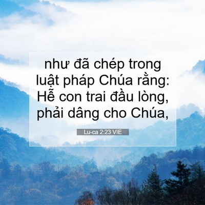 Picture 07 - Lu-ca 2:23 VIE - như đã chép trong luật pháp Chúa rằng: - Bible Verse Picture