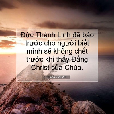 Picture 07 - Lu-ca 2:26 VIE - Đức Thánh Linh đã bảo trước cho - Bible Verse Picture