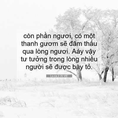 Picture 07 - Lu-ca 2:35 VIE - còn phần ngươi, có một thanh gươm sẽ - Bible Verse Picture