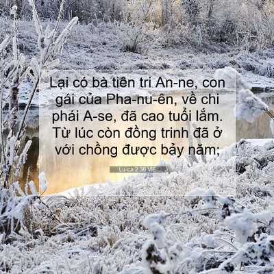 Picture 07 - Lu-ca 2:36 VIE - Lại có bà tiên tri An-ne, con gái của - Bible Verse Picture