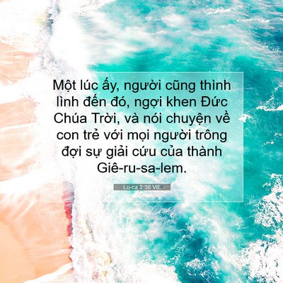 Picture 07 - Lu-ca 2:38 VIE - Một lúc ấy, người cũng thình lình - Bible Verse Picture