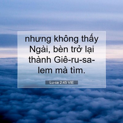 Picture 07 - Lu-ca 2:45 VIE - nhưng không thấy Ngài, bèn trở lại - Bible Verse Picture