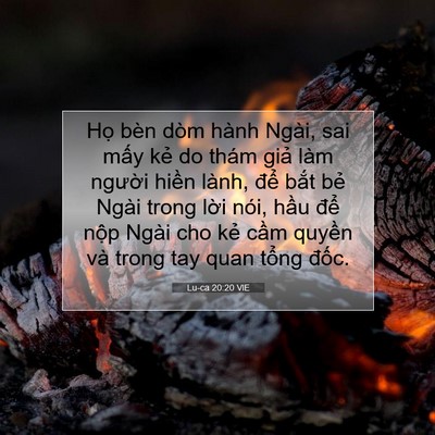 Picture 07 - Lu-ca 20:20 VIE - Họ bèn dòm hành Ngài, sai mấy kẻ do - Bible Verse Picture