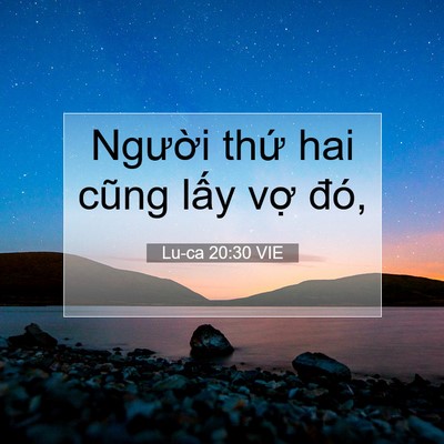 Picture 07 - Lu-ca 20:30 VIE - Người thứ hai cũng lấy vợ - Bible Verse Picture