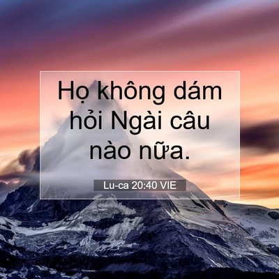 Picture 07 - Lu-ca 20:40 VIE - Họ không dám hỏi Ngài câu nào - Bible Verse Picture