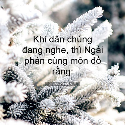 Picture 07 - Lu-ca 20:45 VIE - Khi dân chúng đang nghe, thì Ngài phán - Bible Verse Picture