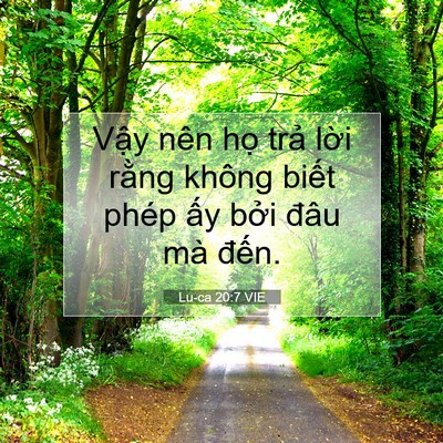 Picture 07 - Lu-ca 20:7 VIE - Vậy nên họ trả lời rằng không biết - Bible Verse Picture