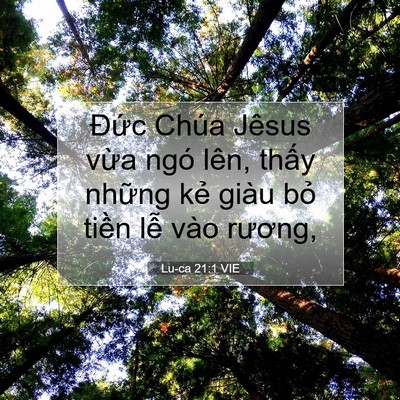 Picture 07 - Lu-ca 21:1 VIE - Đức Chúa Jêsus vừa ngó lên, thấy - Bible Verse Picture