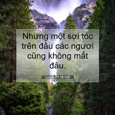 Picture 07 - Lu-ca 21:18 VIE - Nhưng một sợi tóc trên đầu các ngươi - Bible Verse Picture