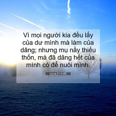 Picture 07 - Lu-ca 21:4 VIE - Vì mọi người kia đều lấy của dư - Bible Verse Picture