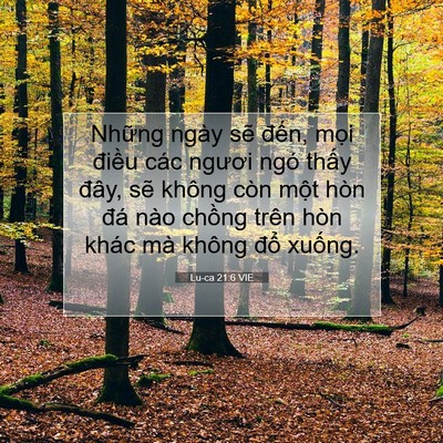 Picture 07 - Lu-ca 21:6 VIE - Những ngày sẽ đến, mọi điều các - Bible Verse Picture