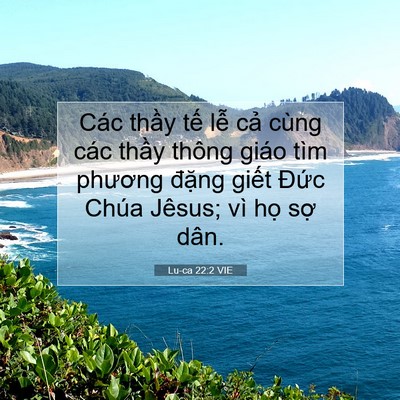 Picture 07 - Lu-ca 22:2 VIE - Các thầy tế lễ cả cùng các thầy - Bible Verse Picture