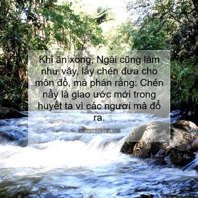 Picture 07 - Lu-ca 22:20 VIE - Khi ăn xong, Ngài cũng làm như vậy, lấy - Bible Verse Picture