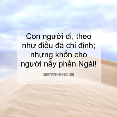 Picture 07 - Lu-ca 22:22 VIE - Con người đi, theo như điều đã chỉ - Bible Verse Picture