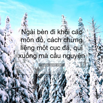 Picture 07 - Lu-ca 22:41 VIE - Ngài bèn đi khỏi các môn đồ, cách - Bible Verse Picture