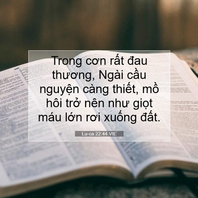 Picture 07 - Lu-ca 22:44 VIE - Trong cơn rất đau thương, Ngài cầu - Bible Verse Picture