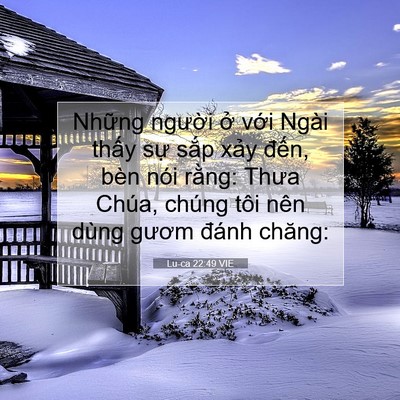 Picture 07 - Lu-ca 22:49 VIE - Những người ở với Ngài thấy sự - Bible Verse Picture