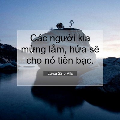 Picture 07 - Lu-ca 22:5 VIE - Các người kia mừng lắm, hứa sẽ cho - Bible Verse Picture