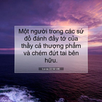 Picture 07 - Lu-ca 22:50 VIE - Một người trong các sứ đồ đánh - Bible Verse Picture