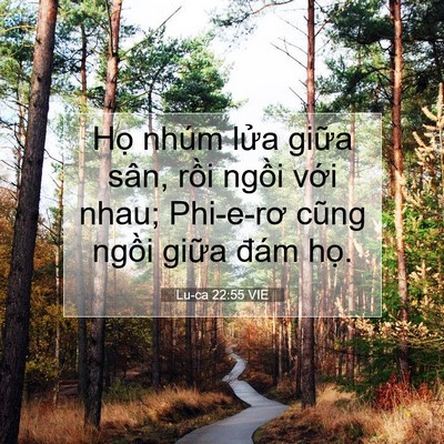 Picture 07 - Lu-ca 22:55 VIE - Họ nhúm lửa giữa sân, rồi ngồi với - Bible Verse Picture