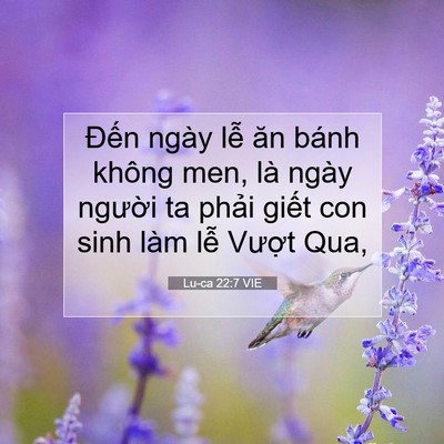 Picture 07 - Lu-ca 22:7 VIE - Đến ngày lễ ăn bánh không men, là ngày - Bible Verse Picture