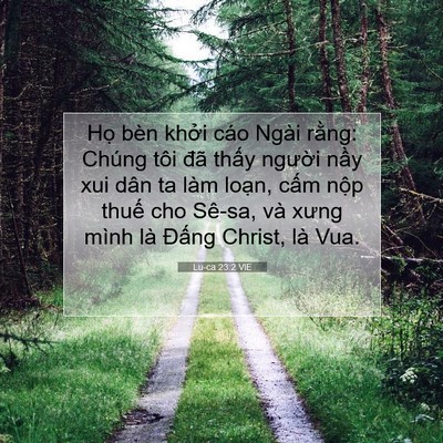 Picture 07 - Lu-ca 23:2 VIE - Họ bèn khởi cáo Ngài rằng: Chúng tôi - Bible Verse Picture