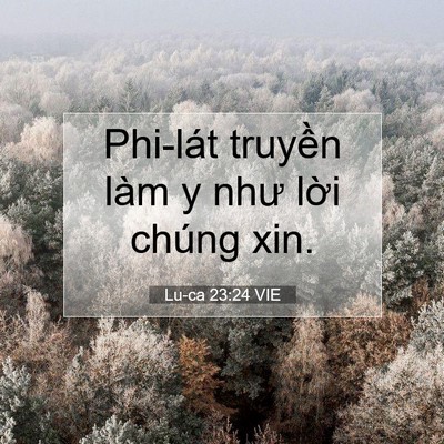 Picture 07 - Lu-ca 23:24 VIE - Phi-lát truyền làm y như lời chúng - Bible Verse Picture