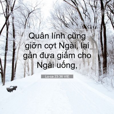 Picture 07 - Lu-ca 23:36 VIE - Quân lính cũng giỡn cợt Ngài, lại gần - Bible Verse Picture
