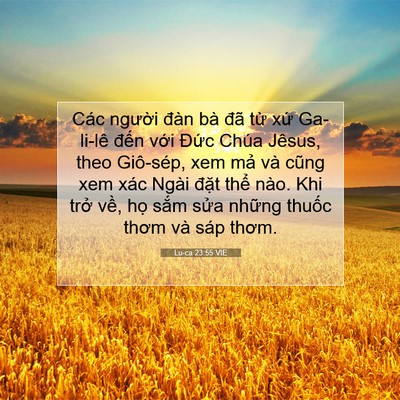 Picture 07 - Lu-ca 23:55 VIE - Các người đàn bà đã từ xứ Ga-li-lê - Bible Verse Picture