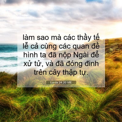 Picture 07 - Lu-ca 24:20 VIE - làm sao mà các thầy tế lễ cả cùng - Bible Verse Picture