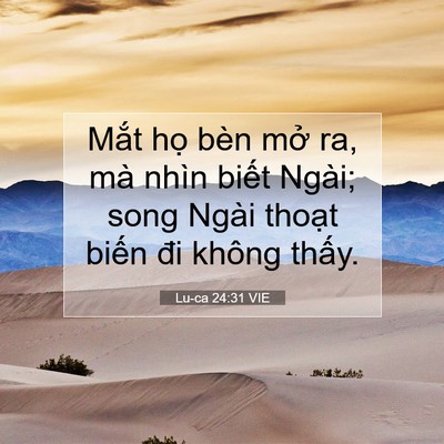 Picture 07 - Lu-ca 24:31 VIE - Mắt họ bèn mở ra, mà nhìn biết Ngài; - Bible Verse Picture