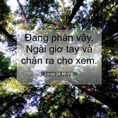 Picture 07 - Lu-ca 24:40 VIE - Đang phán vậy, Ngài giơ tay và chân ra - Bible Verse Picture