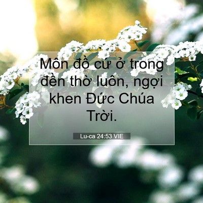 Picture 07 - Lu-ca 24:53 VIE - Môn đồ cứ ở trong đền thờ luôn, - Bible Verse Picture
