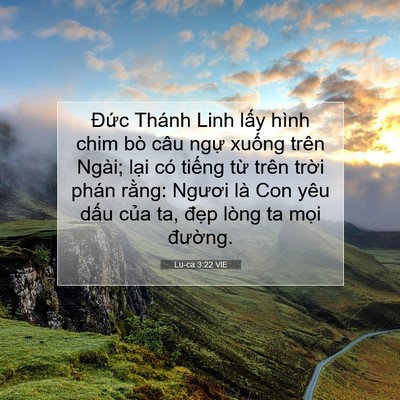 Picture 07 - Lu-ca 3:22 VIE - Đức Thánh Linh lấy hình chim bò câu - Bible Verse Picture