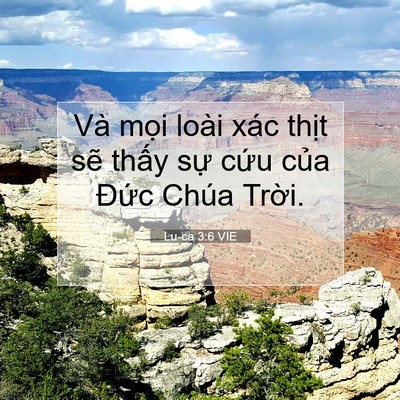 Picture 07 - Lu-ca 3:6 VIE - Và mọi loài xác thịt sẽ thấy sự - Bible Verse Picture