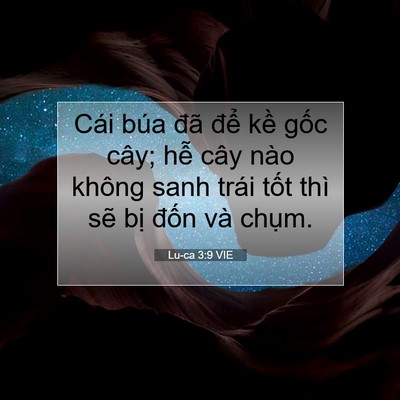Picture 07 - Lu-ca 3:9 VIE - Cái búa đã để kề gốc cây; hễ cây - Bible Verse Picture