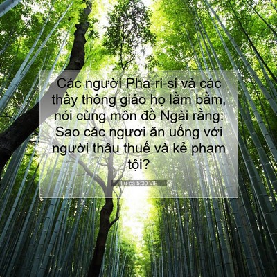 Picture 07 - Lu-ca 5:30 VIE - Các người Pha-ri-si và các thầy thông - Bible Verse Picture