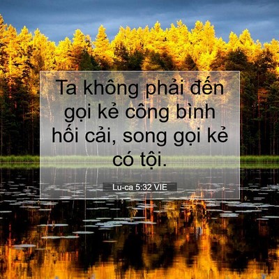Picture 07 - Lu-ca 5:32 VIE - Ta không phải đến gọi kẻ công bình - Bible Verse Picture