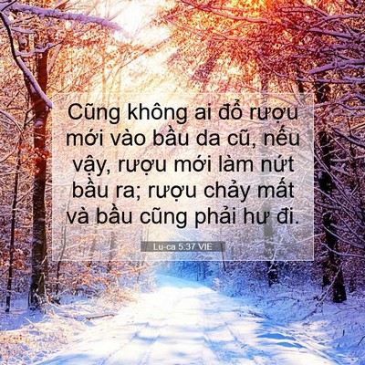 Picture 07 - Lu-ca 5:37 VIE - Cũng không ai đổ rượu mới vào bầu da - Bible Verse Picture