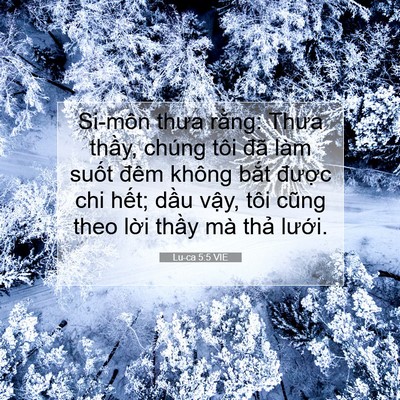 Picture 07 - Lu-ca 5:5 VIE - Si-môn thưa rằng: Thưa thầy, chúng tôi - Bible Verse Picture
