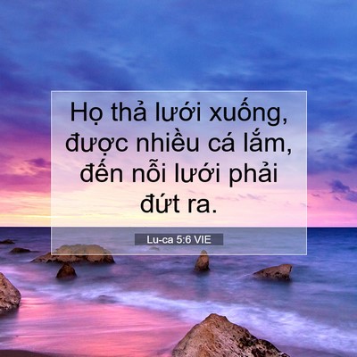 Picture 07 - Lu-ca 5:6 VIE - Họ thả lưới xuống, được nhiều cá - Bible Verse Picture