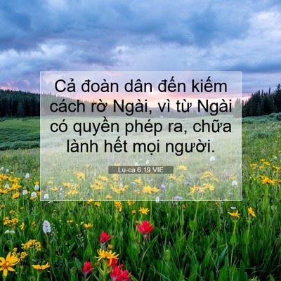 Picture 07 - Lu-ca 6:19 VIE - Cả đoàn dân đến kiếm cách rờ Ngài, - Bible Verse Picture