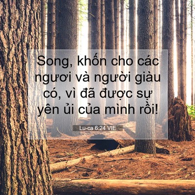 Picture 07 - Lu-ca 6:24 VIE - Song, khốn cho các ngươi và người giàu - Bible Verse Picture