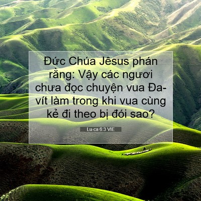 Picture 07 - Lu-ca 6:3 VIE - Đức Chúa Jêsus phán rằng: Vậy các - Bible Verse Picture
